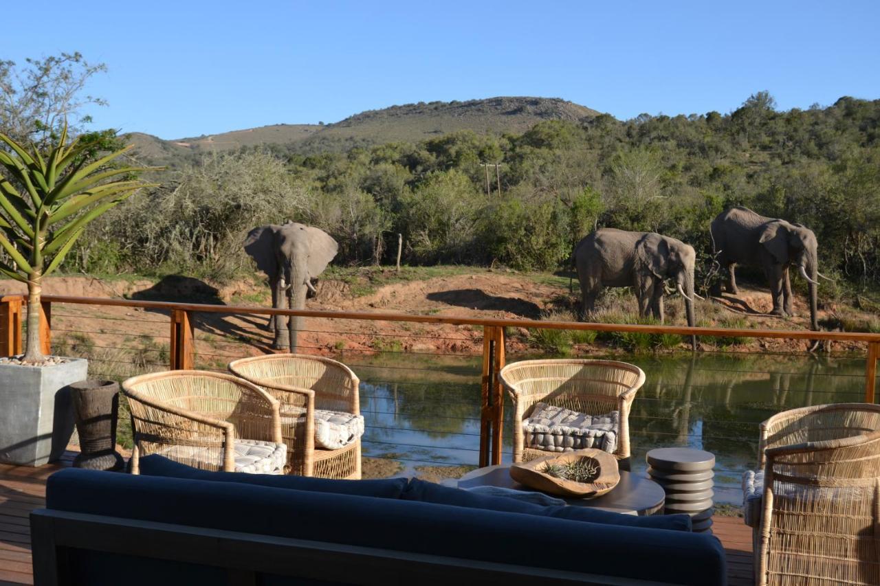 Barefoot Addo Elephant Lodge Exteriör bild