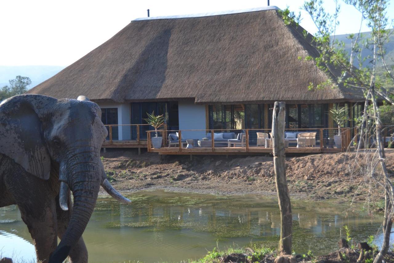 Barefoot Addo Elephant Lodge Exteriör bild